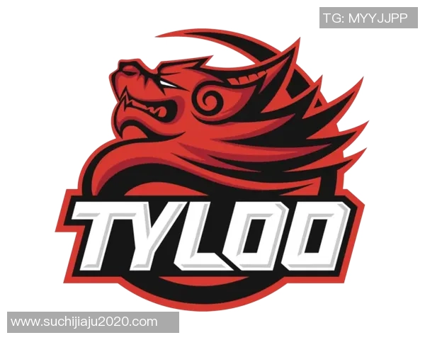 电竞实时数据分析英雄联盟战术TOP10V5团队表现突出