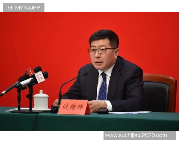 杨敏畅谈王者荣耀发展历程与未来展望的深度专访回顾