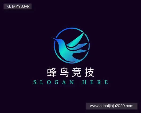 发现蜂鸟竞技
